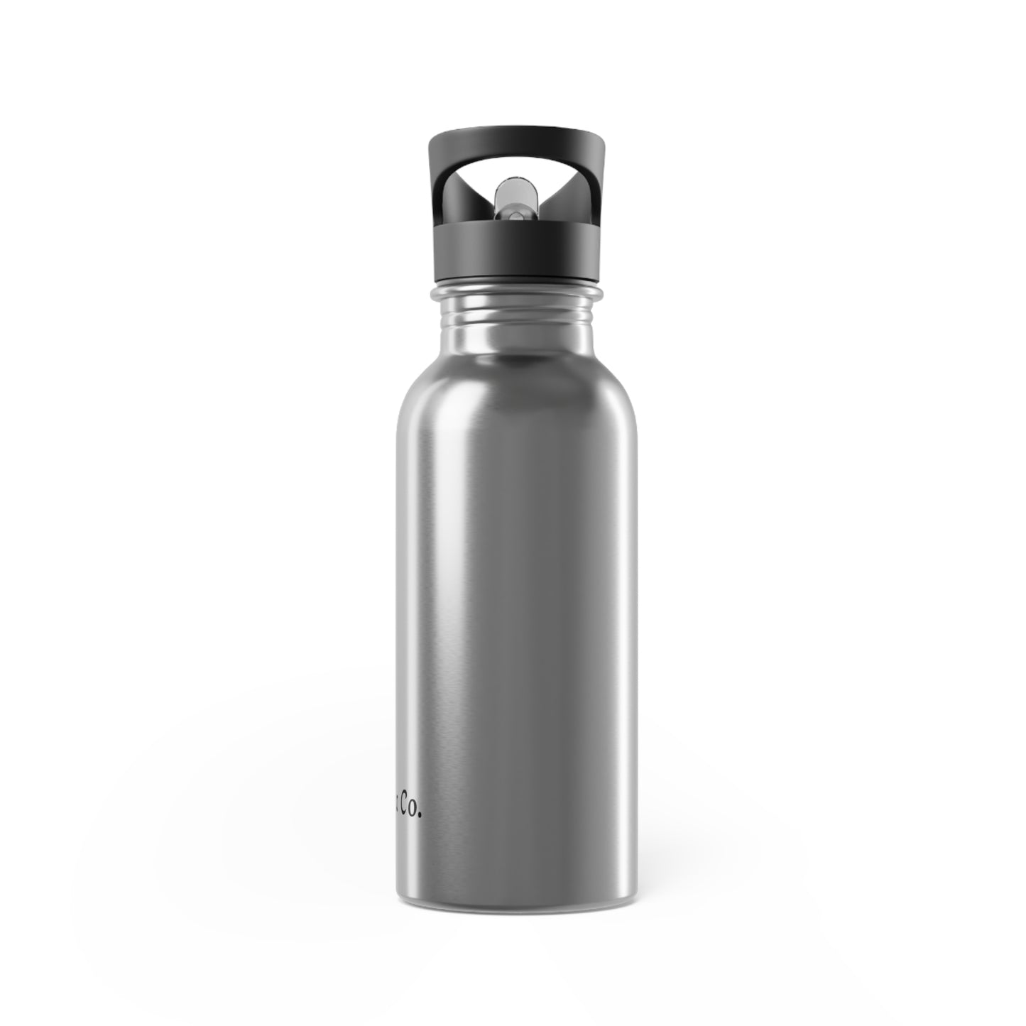 Abinova - Stainless Steel Water Bottle With Straw, 20oz