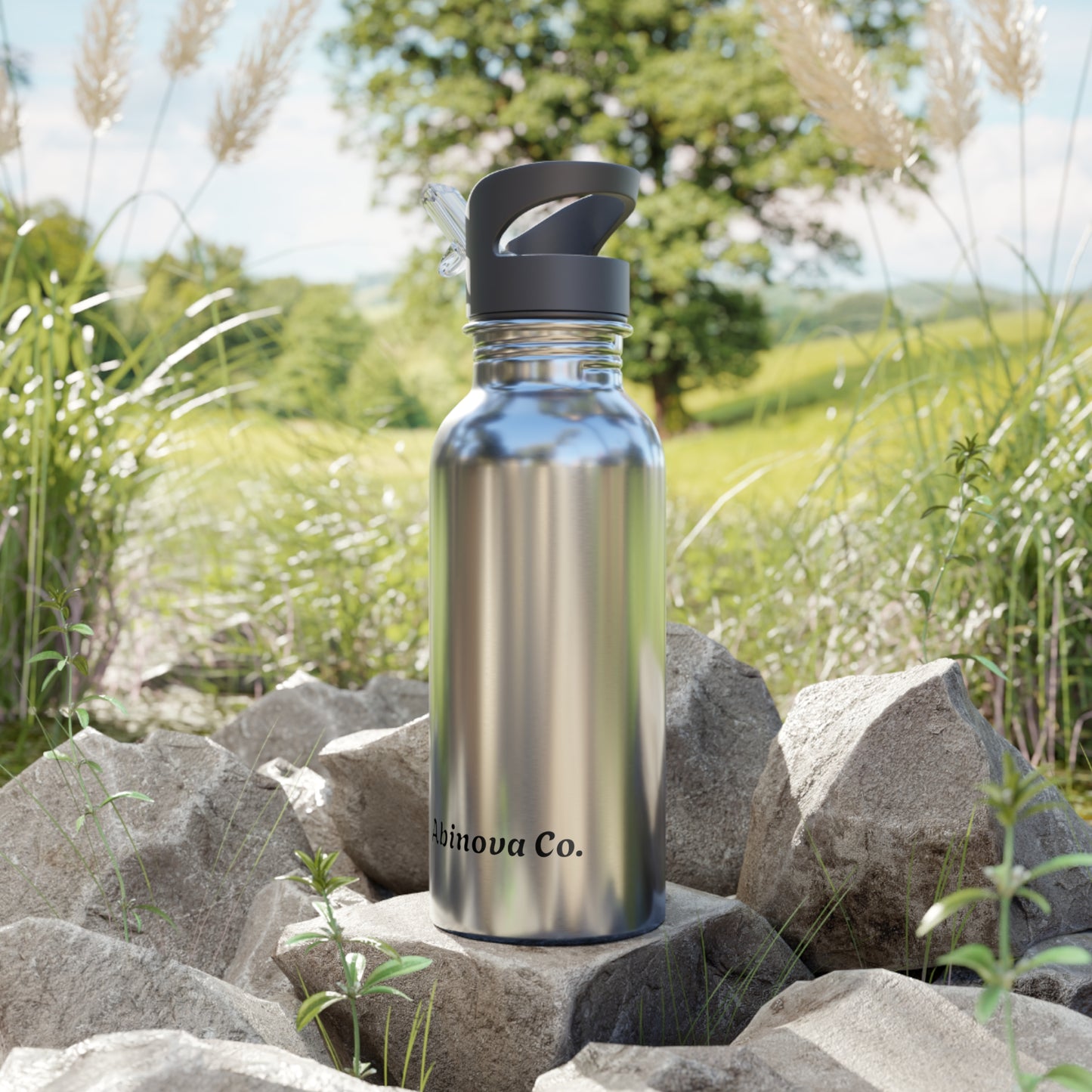 Abinova - Stainless Steel Water Bottle With Straw, 20oz